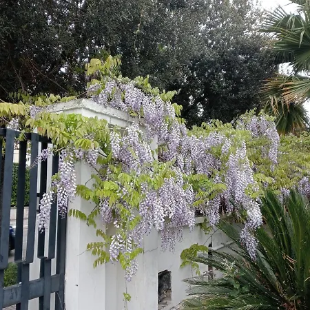A Casa Di Gio 4* 莱切